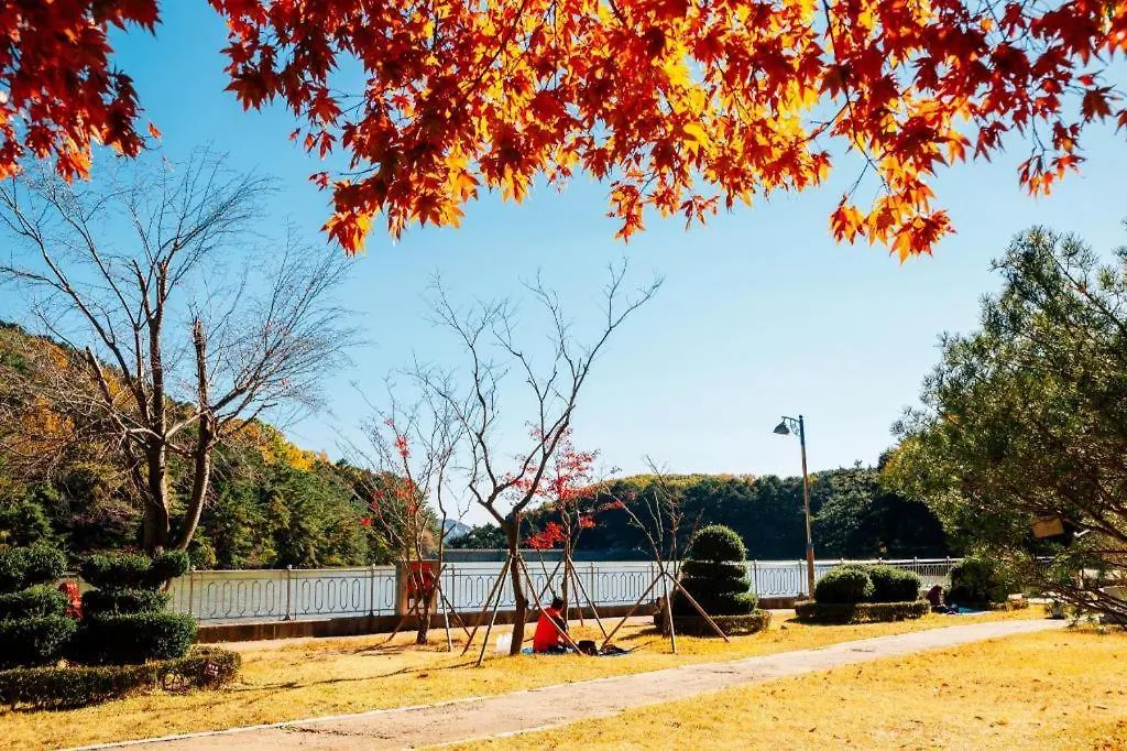 ***  Denbasta Forest Hotel Busan South Korea